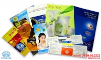 Thiết kế, in ấn catalogue chuyên nghiệp, giá rẻ tại Hà Nội